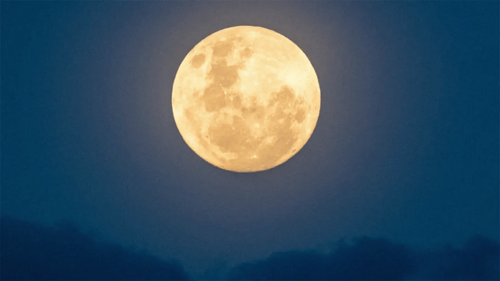 満月の夜に生まれた東野圭吾